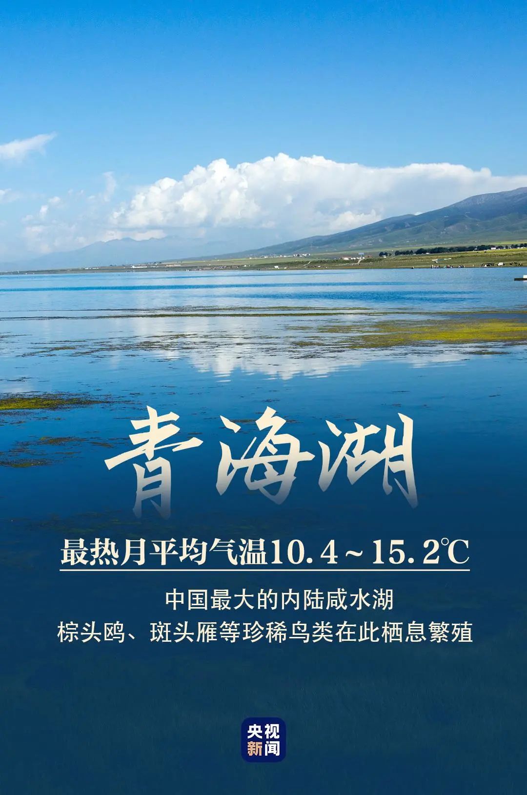 云南省文化和旅游厅