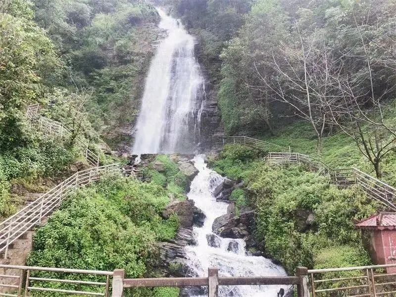 云南省文化和旅游厅