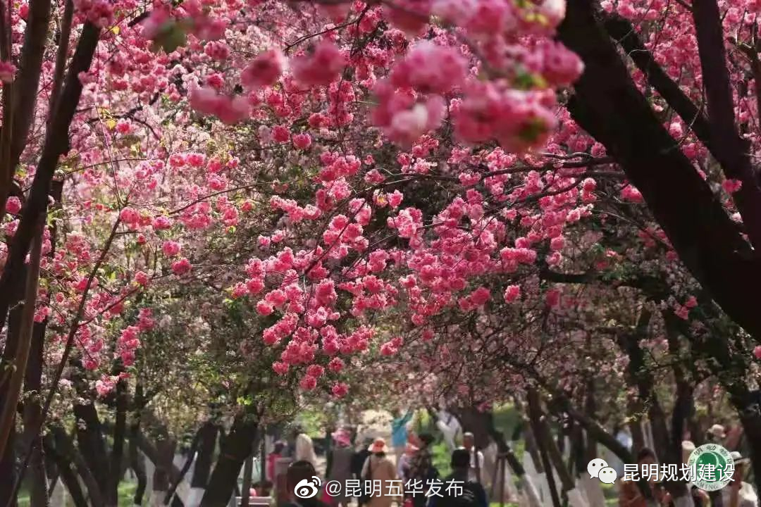昆明五华发布