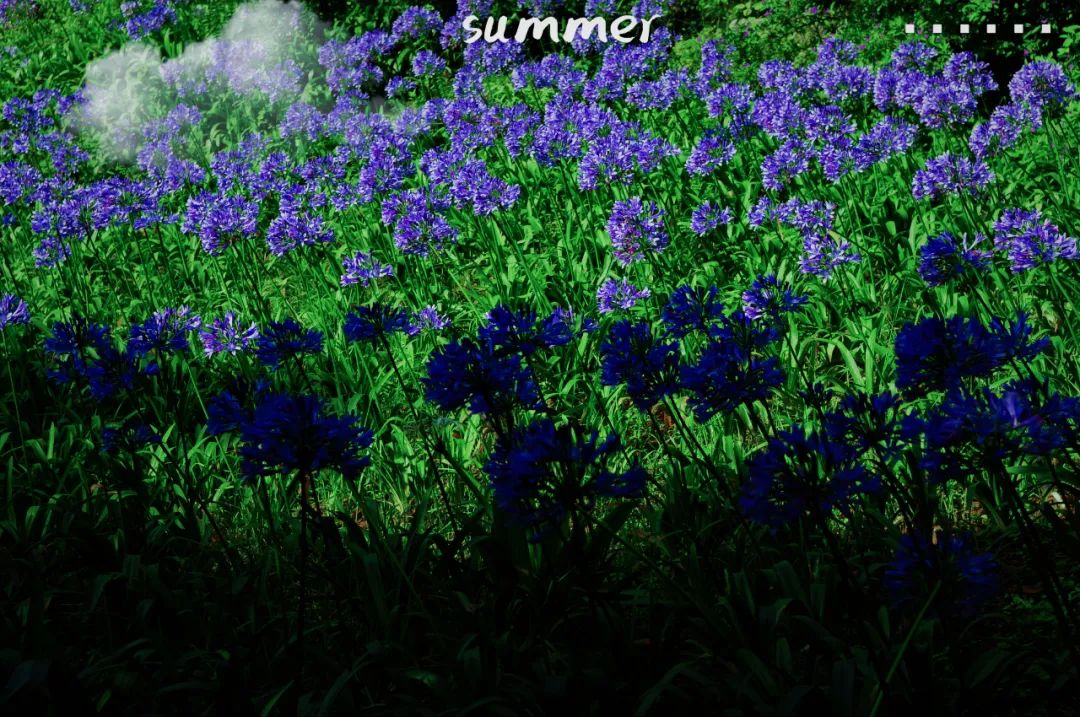 昆明市金殿名胜区