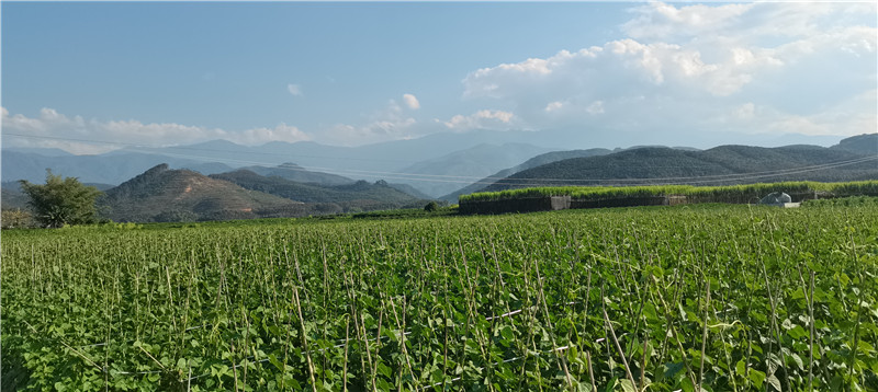 云南省文化和旅游厅
