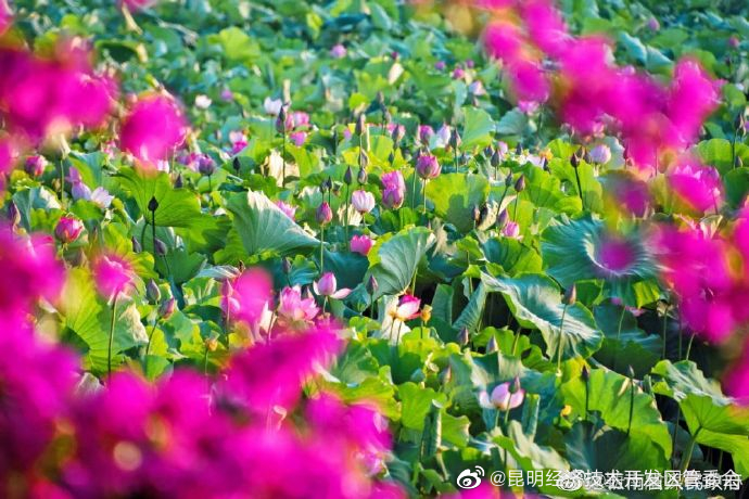 昆明经济技术开发区管委会