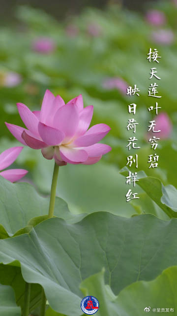 呈贡发布