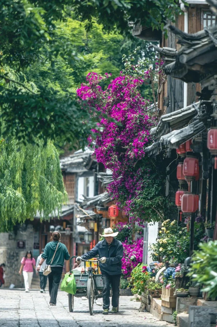 微丽江