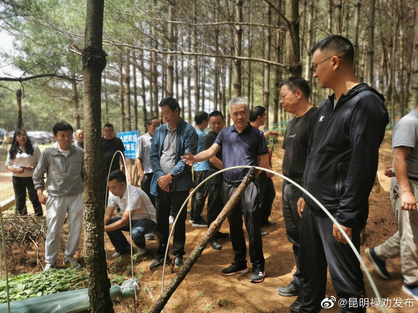 昆明禄劝发布