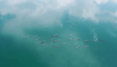 昆明信息港/cnkmxxg