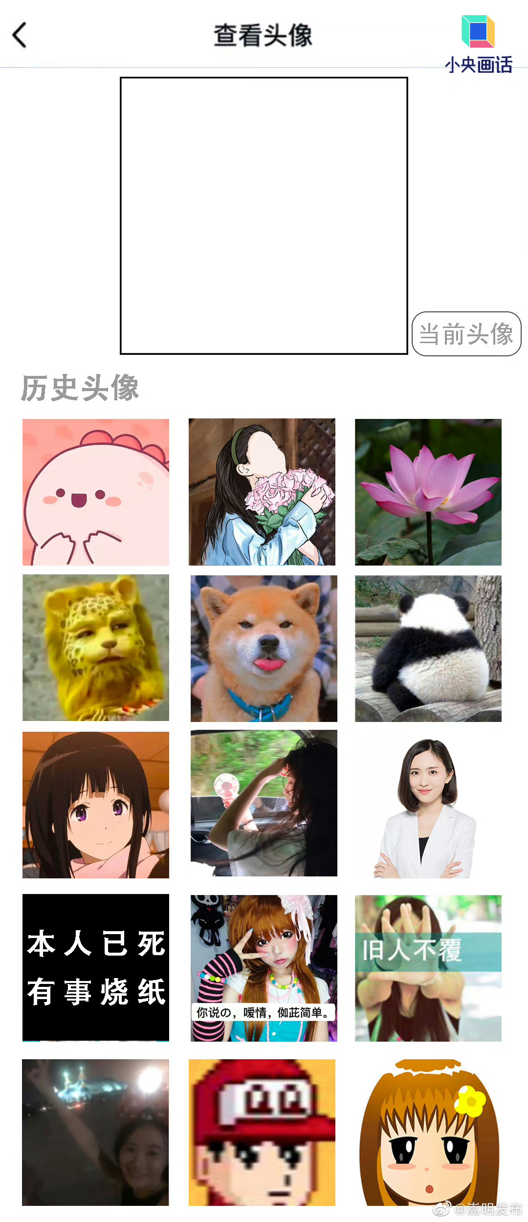 被自己的历史头像整破防了