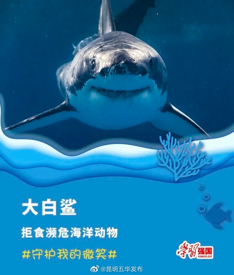 昆明五华发布