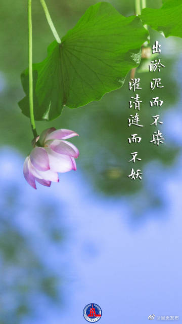 呈贡发布