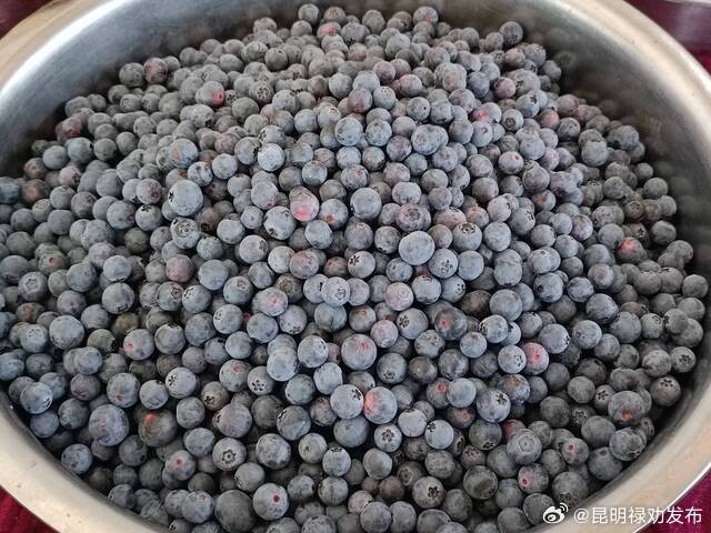 德党镇：“蓝色”经济助农增收致富