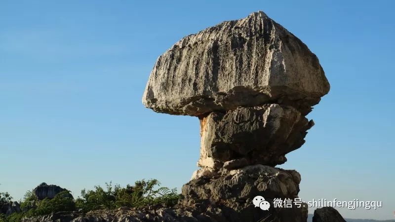 石林融媒