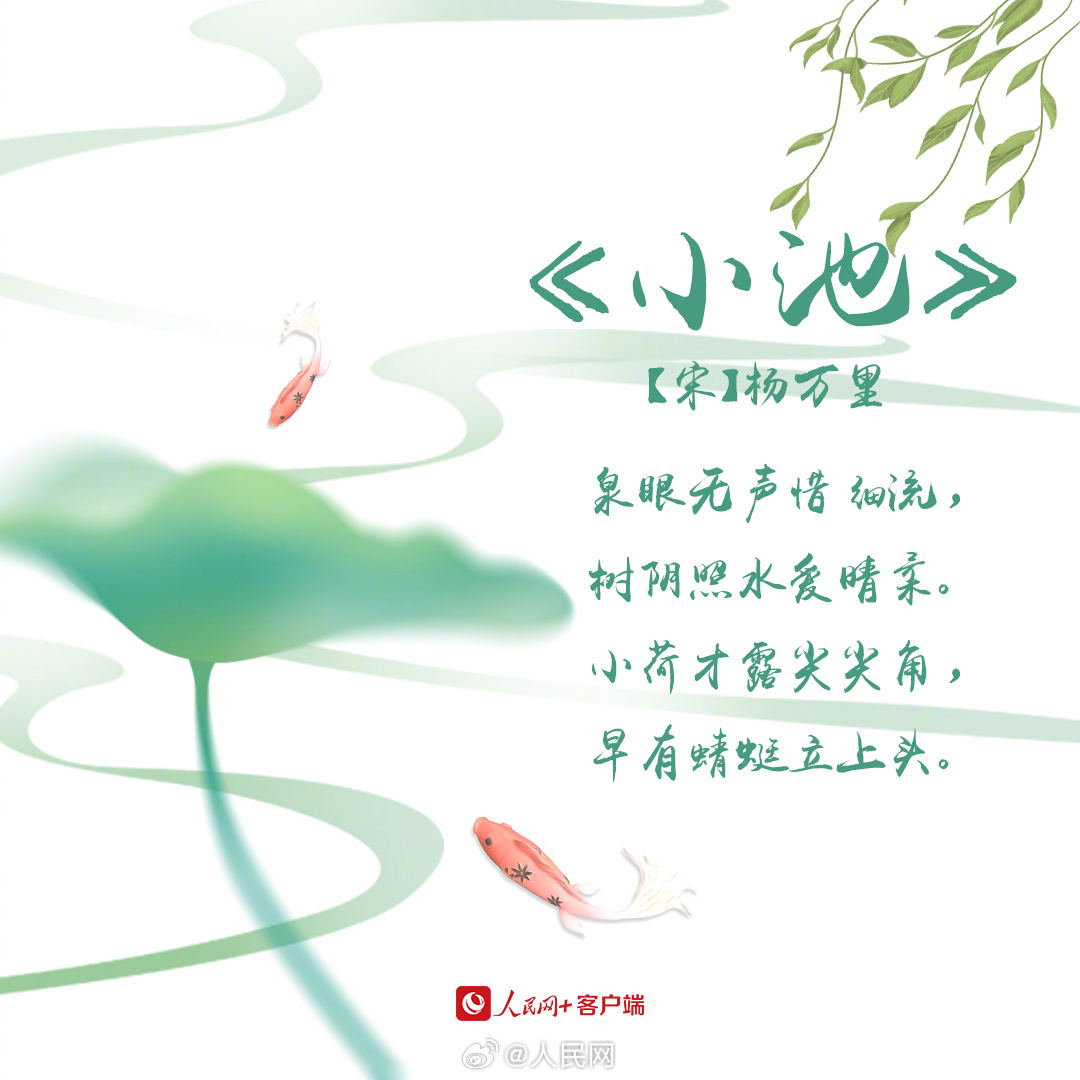 人民网