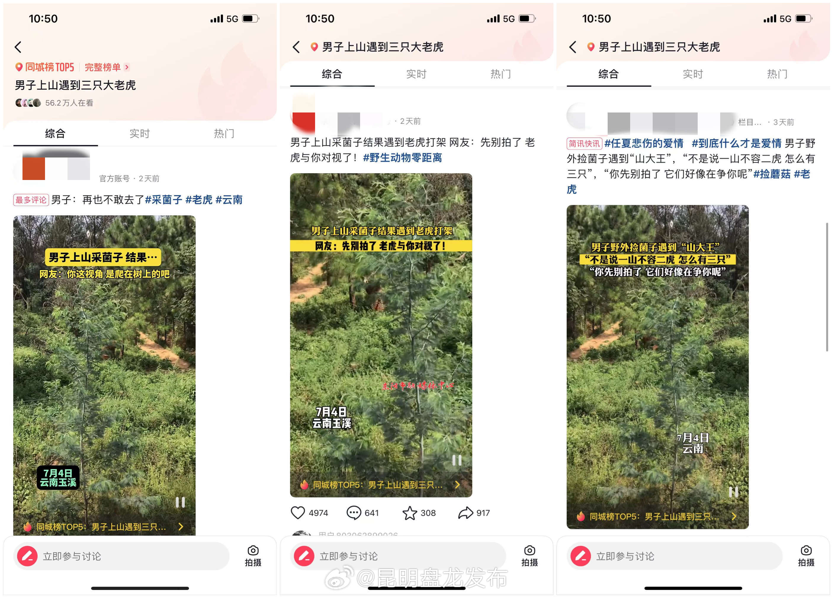 昆明盘龙发布