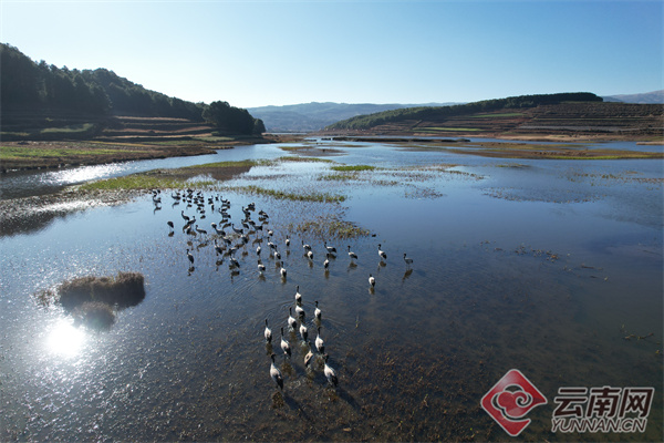 云南省文化和旅游厅