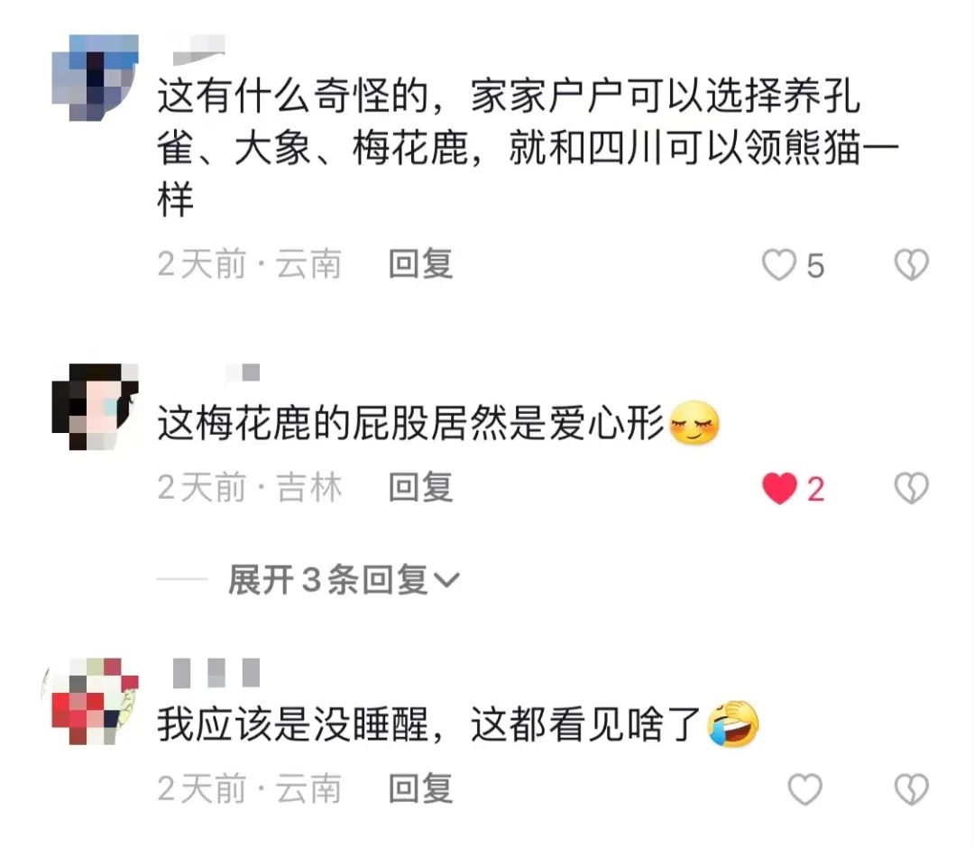 昆明信息港/cnkmxxg