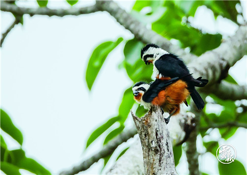 云南省文化和旅游厅