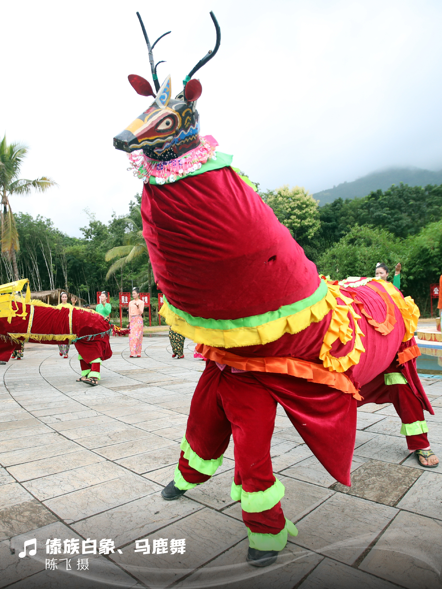 云南省文化和旅游厅