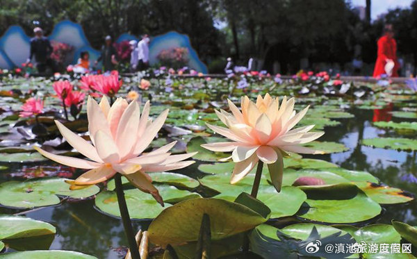 滇池旅游度假区