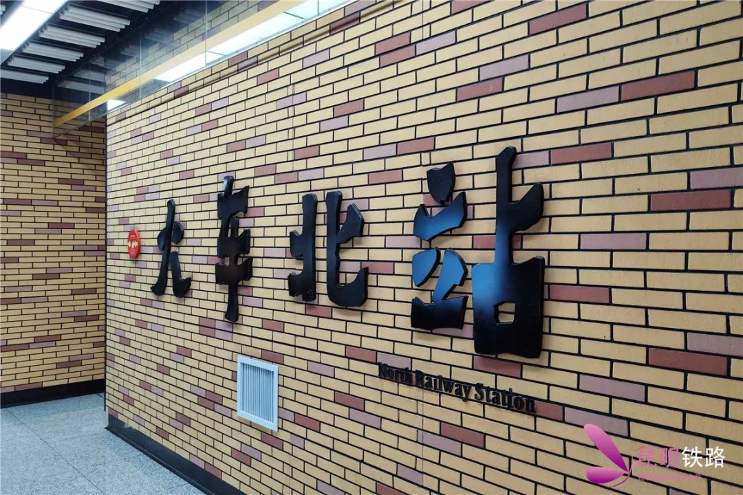 微观盘龙