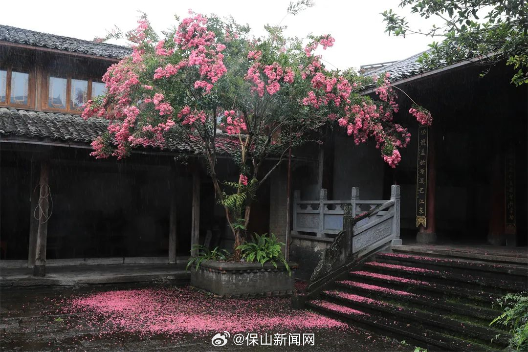 保山新闻网