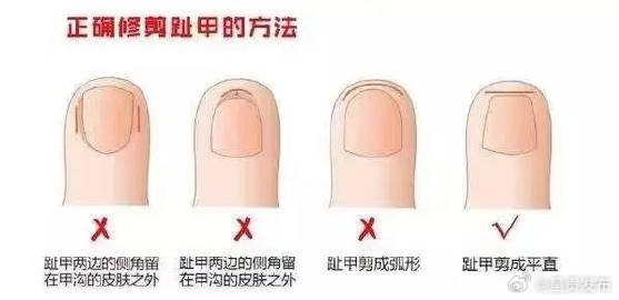呈贡发布