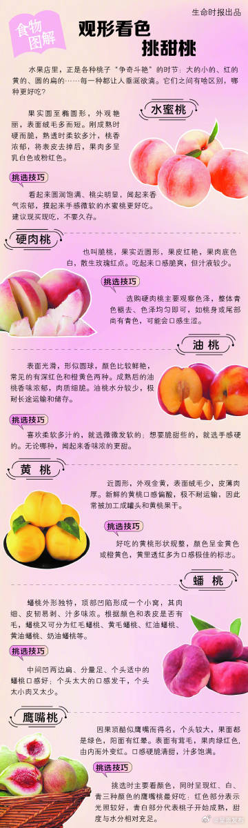 不同的桃子分别怎么挑 