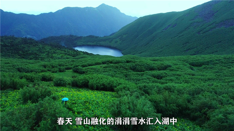 云南省文化和旅游厅