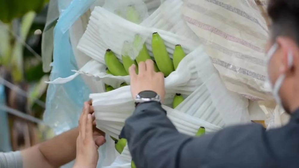 昆明经开区