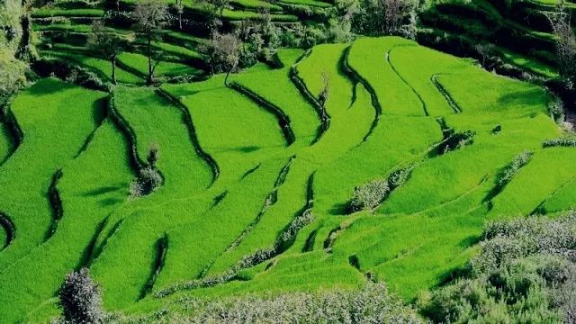 红河文旅