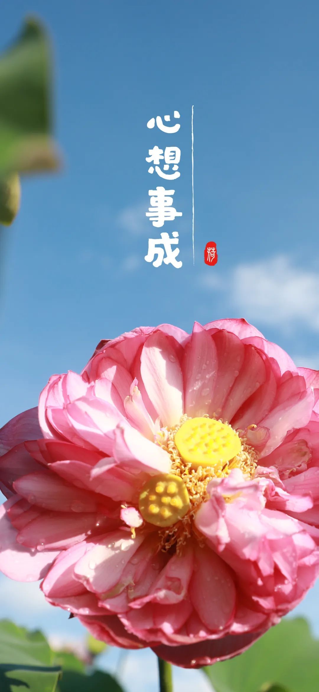 云南省文化和旅游厅