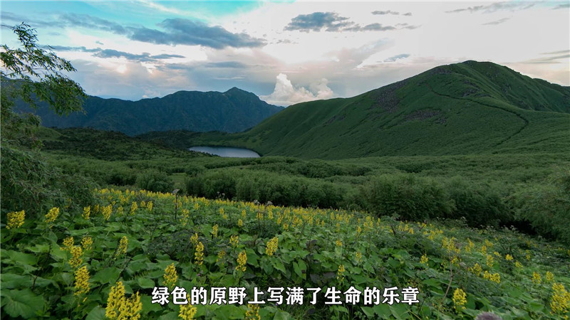 云南省文化和旅游厅