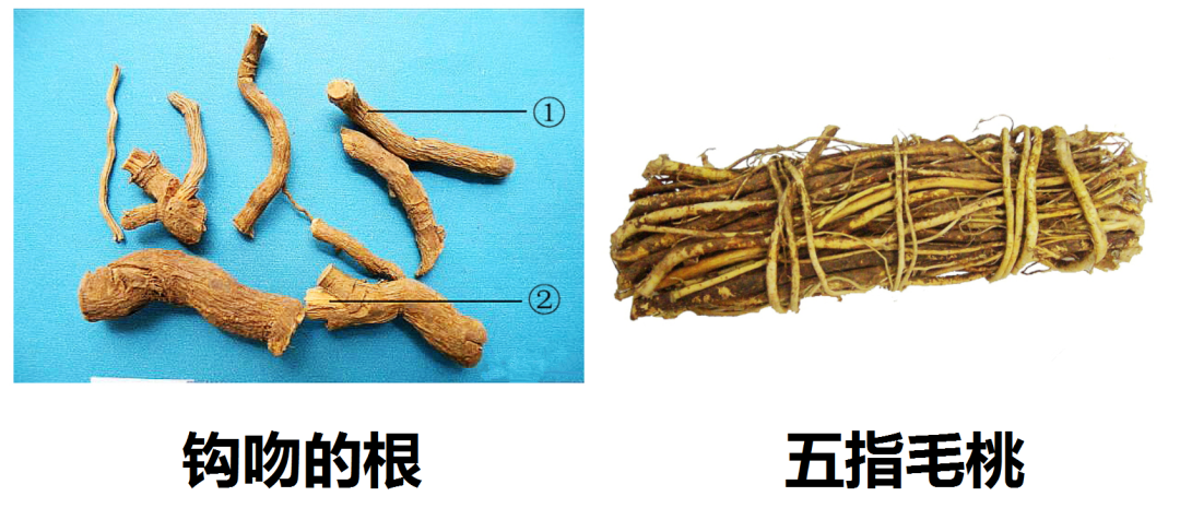 掌上春城微信