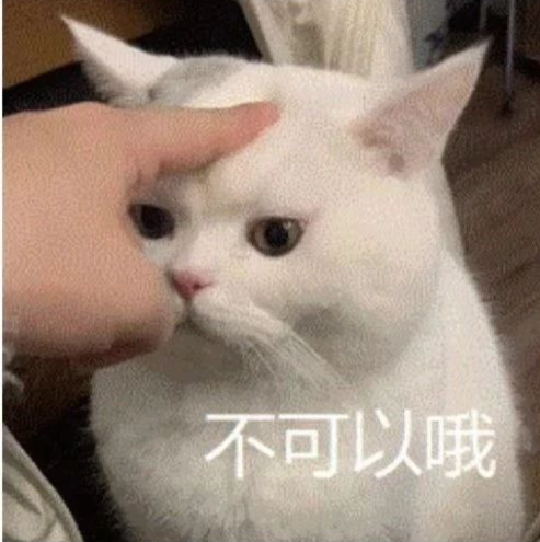 盘龙共青团
