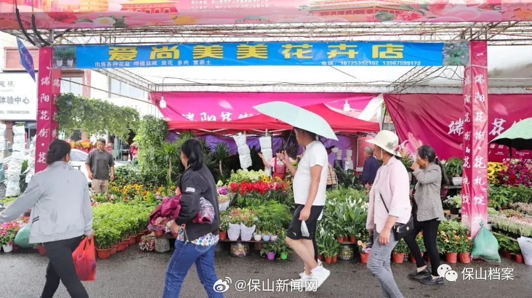 保山新闻网