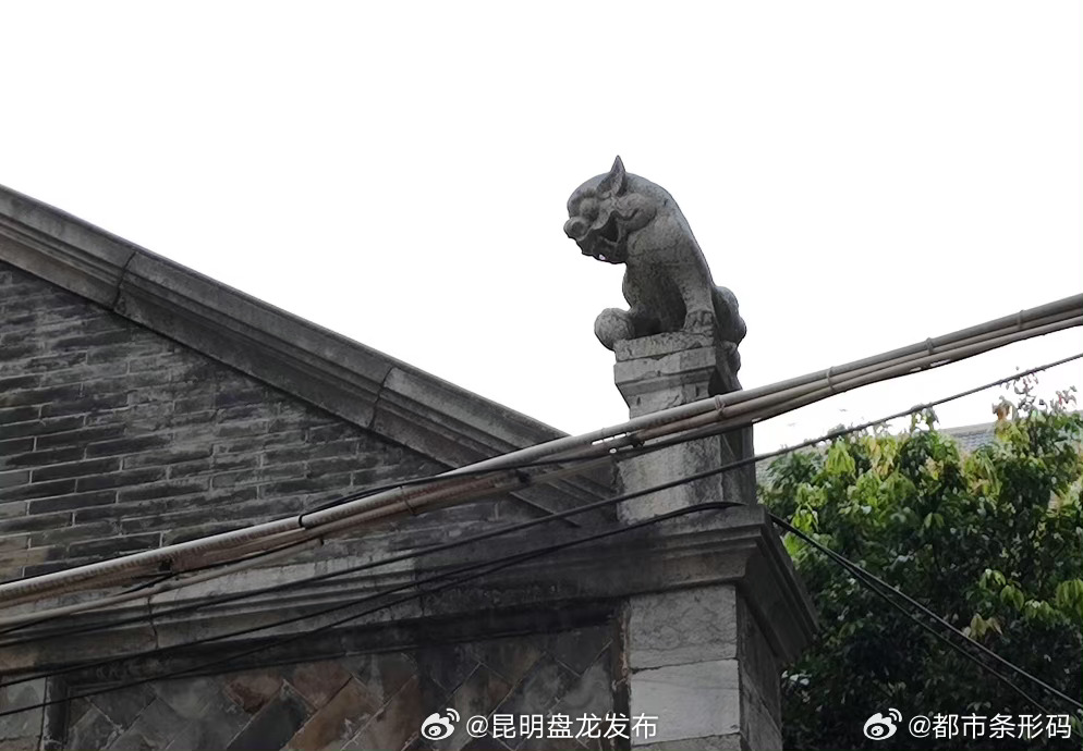 昆明盘龙发布