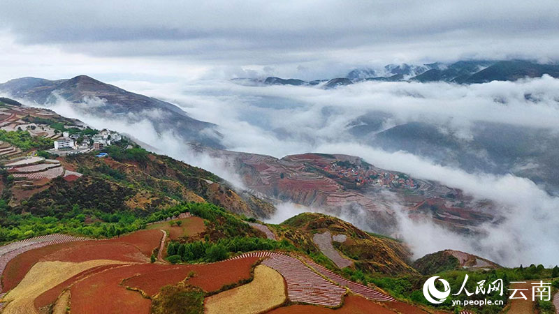 云南省文化和旅游厅