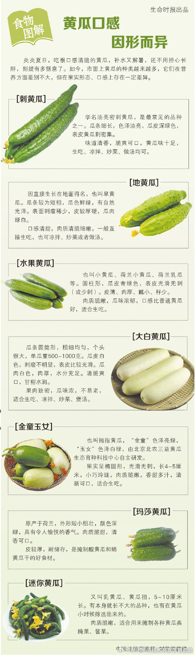 根据外形判断7种黄瓜口感 