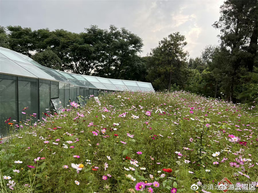 滇池旅游度假区