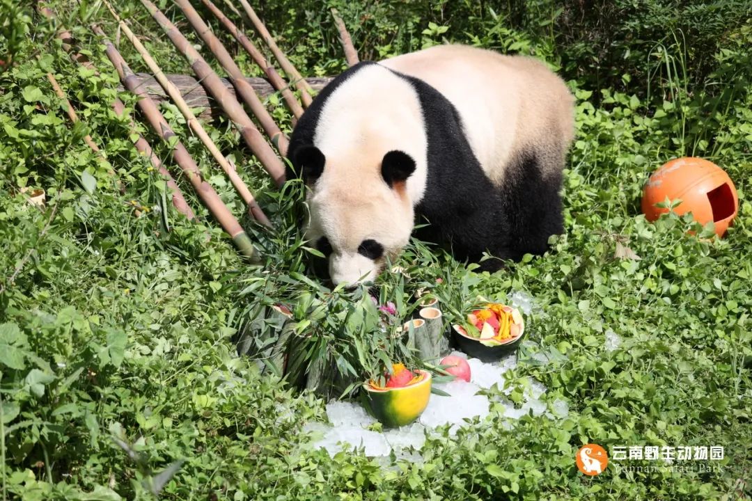 云南野生动物园