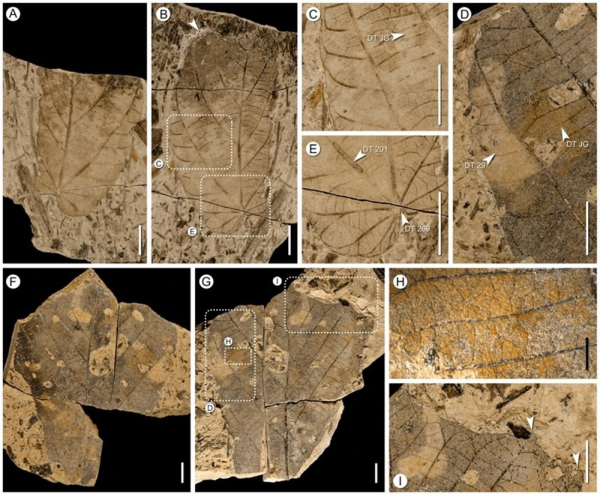 美丽云南微科普