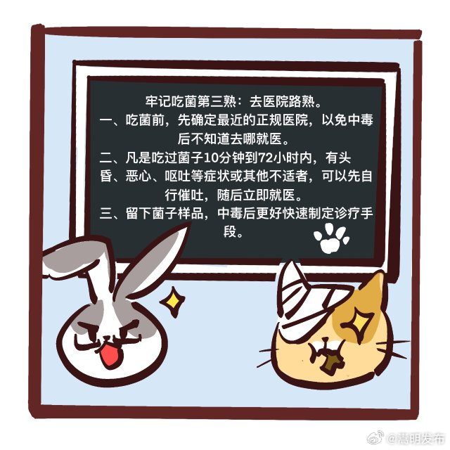 嵩明发布