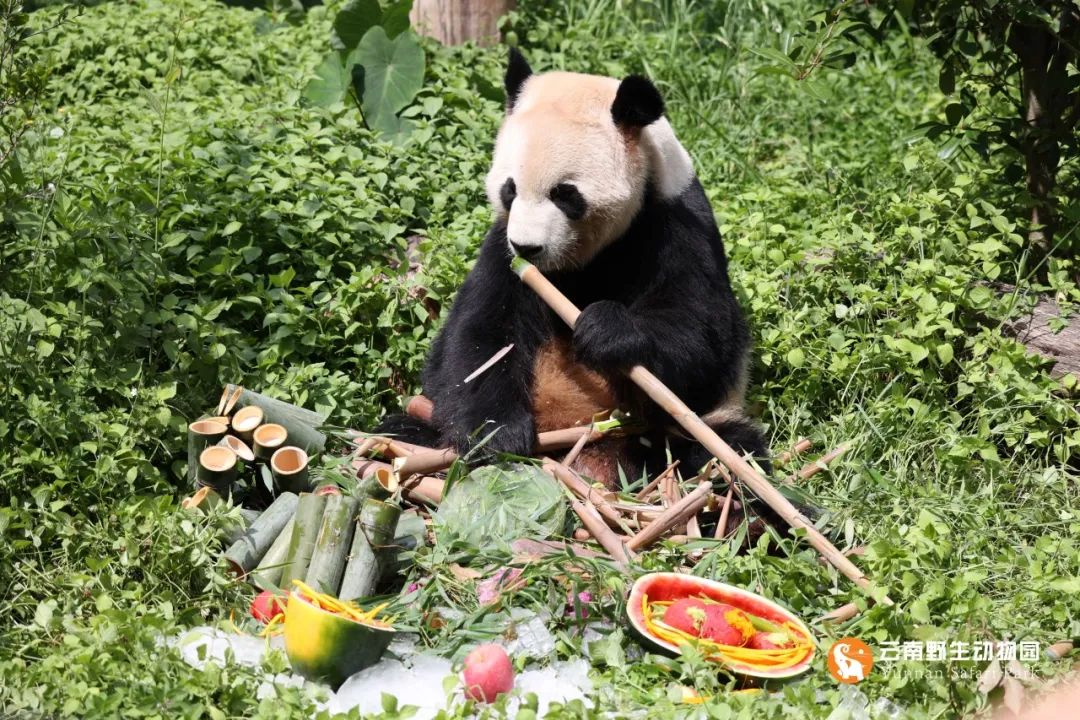 云南野生动物园