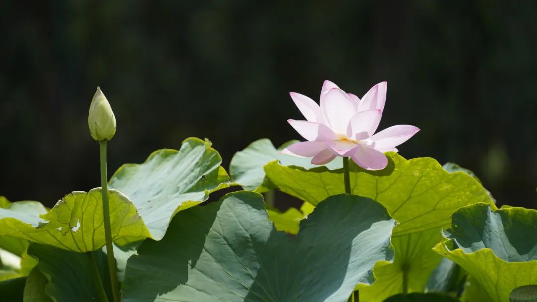 晋宁诗意的栖居地