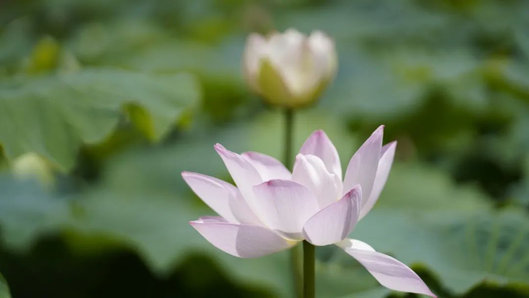 晋宁诗意的栖居地