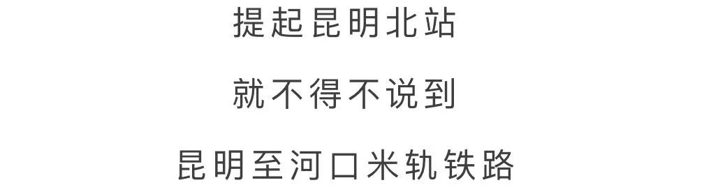 微观盘龙