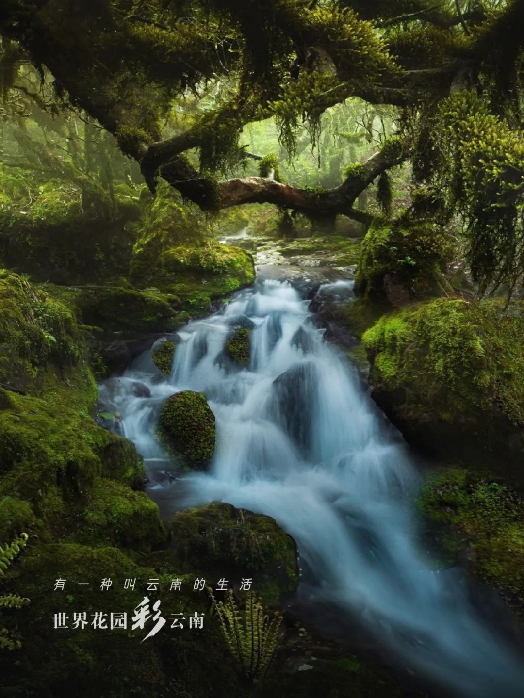 云南省文化和旅游厅