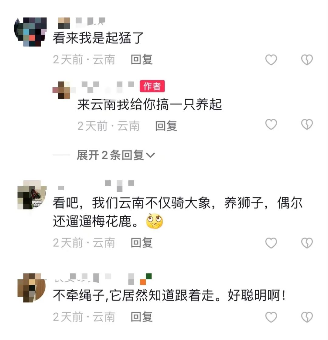 昆明信息港/cnkmxxg