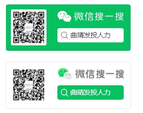 曲靖市国有资产经营管理有限责任公司委托曲靖市发投人力资源有限责任公司公开招聘劳务外包工作人员公告(市就业中心招用工信息2023年第57期)