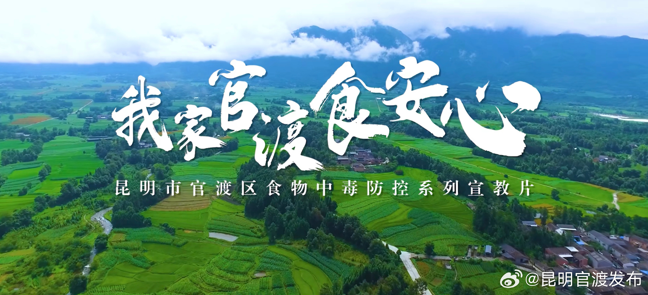野生菌加工食用要注意哪些问题？《我家官渡食安心》第二集告诉你！