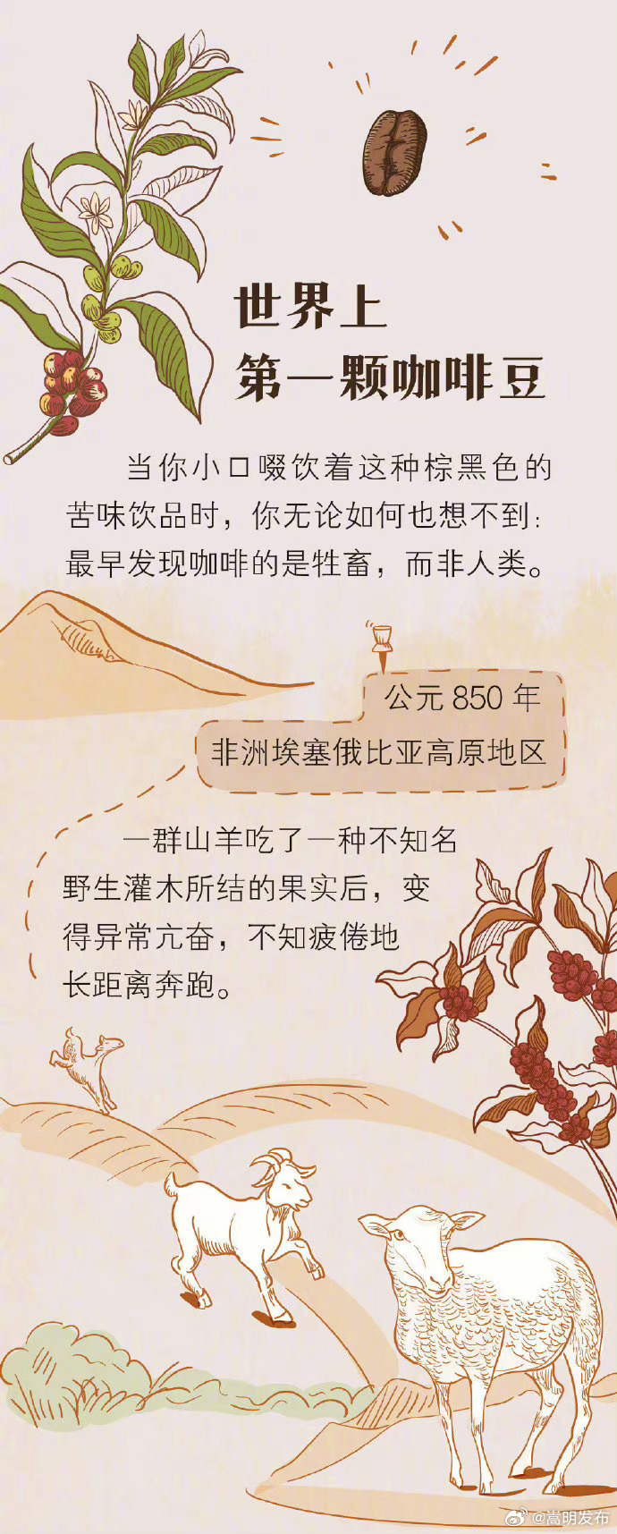 嵩明发布